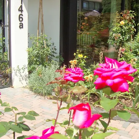 住宿加早餐酒店 维福瑞帕库姆住宿加早餐旅馆