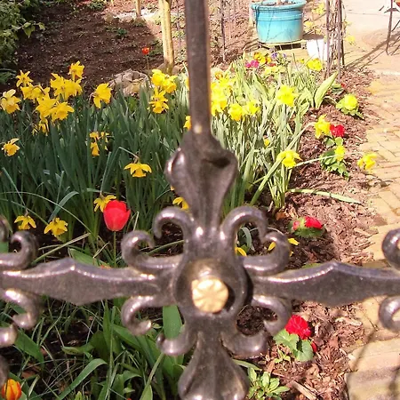 Vivere Ad Parcum - Bed & Breakfast