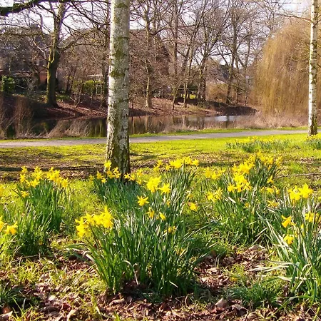 Vivere Ad Parcum - Alojamento de Acomodação e Pequeno-almoço Krefeld