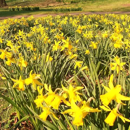 Bed & Breakfast Vivere Ad Parcum - Krefeld