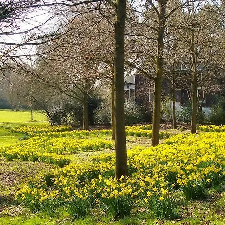 住宿加早餐酒店 维福瑞帕库姆住宿加早餐旅馆 3*
