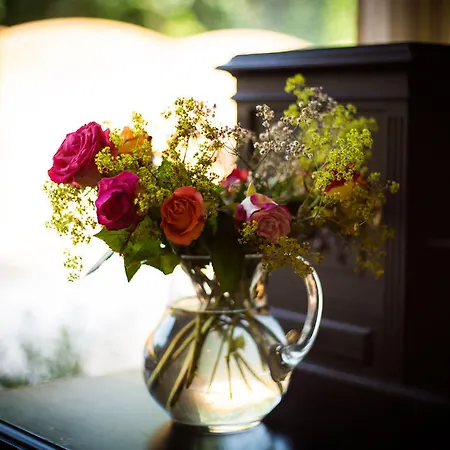 住宿加早餐酒店 维福瑞帕库姆住宿加早餐旅馆 克雷费尔德