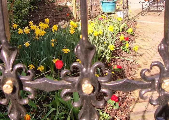 Vivere Ad Parcum - Bed & Breakfast