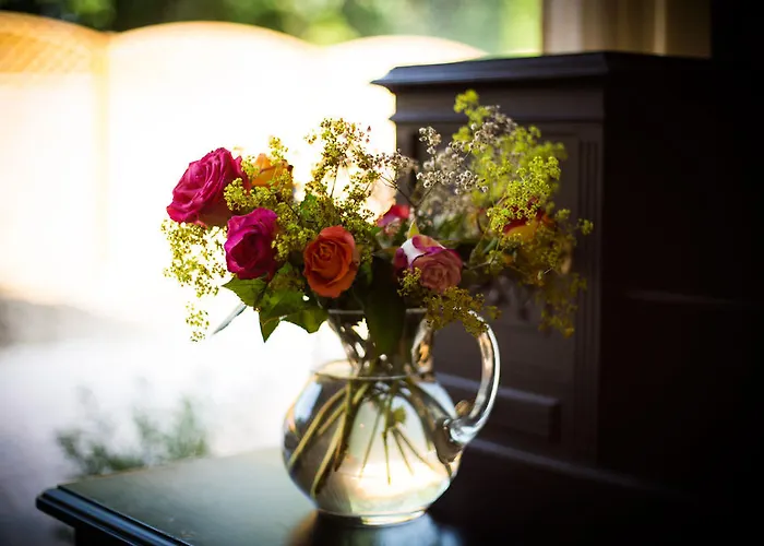 Bed & Breakfast Vivere Ad Parcum - Krefeld